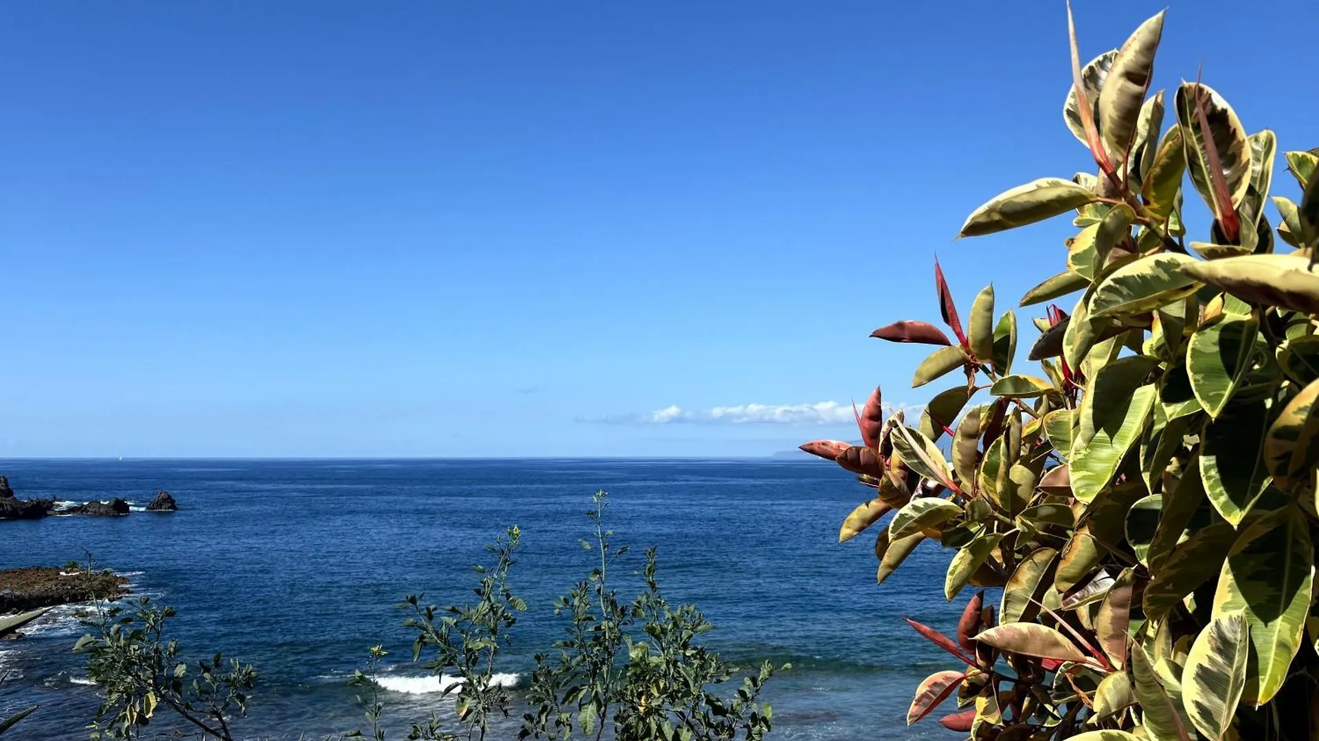 Exclusive Frontline One Bedroom Apartment Puerto de Santiago